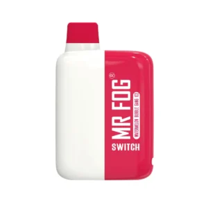 MR FOG SWITCH 5500 PUFFS WATERMELON BUBBLE GANG ICE