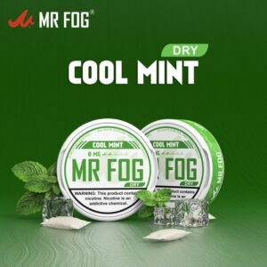 DRY - COOL MINT - MR FOG NICOTINE POUCHES 8MG - 20CT
