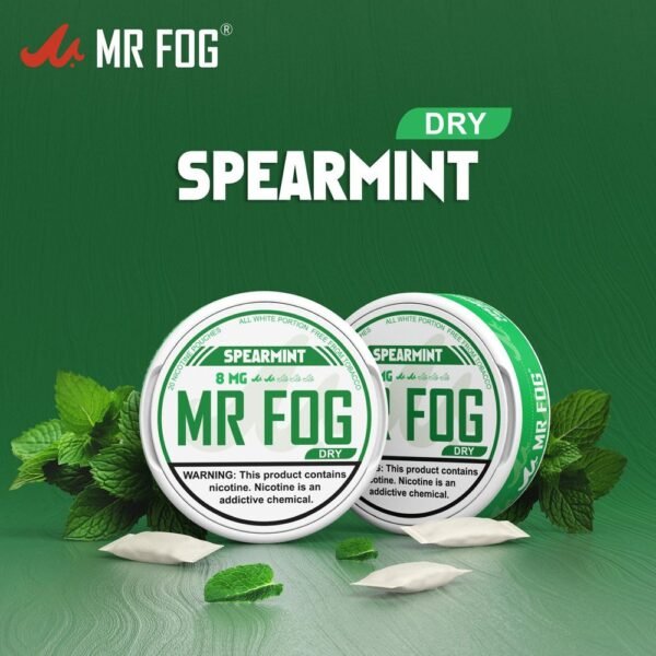 DRY - SPEARMINT - MR FOG NICOTINE POUCHES 8MG - 20CT