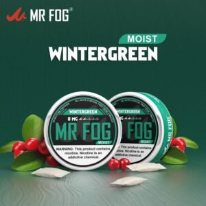 MOIST - WINTERGREEN - MR FOG NICOTINE POUCHES 8MG - 20CT