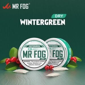 DRY - WINTERGREEN - MR FOG NICOTINE POUCHES 8MG - 20CT