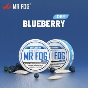 DRY - BLUEBERRY - MR FOG NICOTINE POUCHES 8MG - 20CT