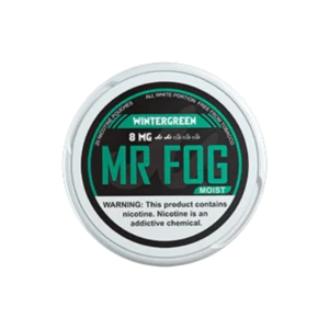 MOIST - COOL MINT - MR FOG NICOTINE POUCHES