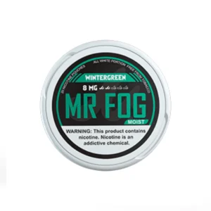 Moist Wintergreen Mr Fog Nicotine Pouches