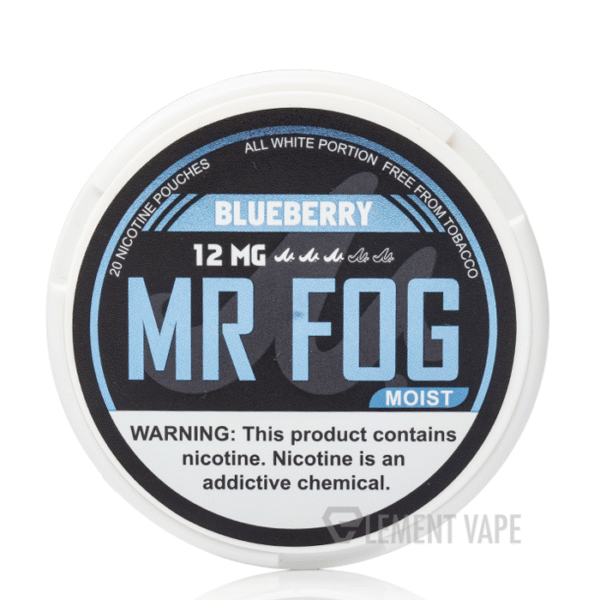Moist Blueberry Mr Fog Nicotine Pouches