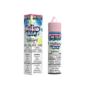 Blueberry Mr Fog Mellow Man Salt E-Liquid- 30 ML