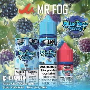 Mr Fog Blue Razz Steezy Peach Ice Salt E Liquid