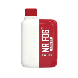 Rainbow Skt - Mr Fog Switch 5500 Puffs – Disposable