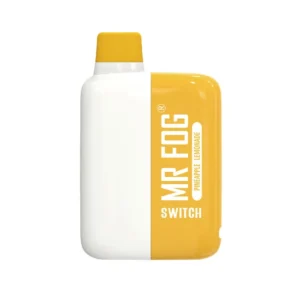 Pineapple Lemonade - Mr Fog Switch 5500 Puffs – Disposable