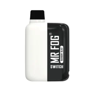 Rainbow Blast - Mr Fog Switch 5500 Puffs – Disposable