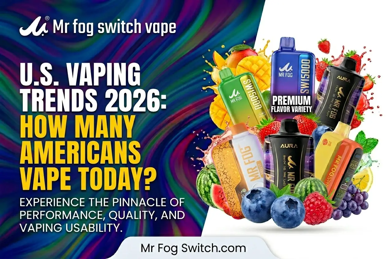 Home 22 Mr Fog Switch