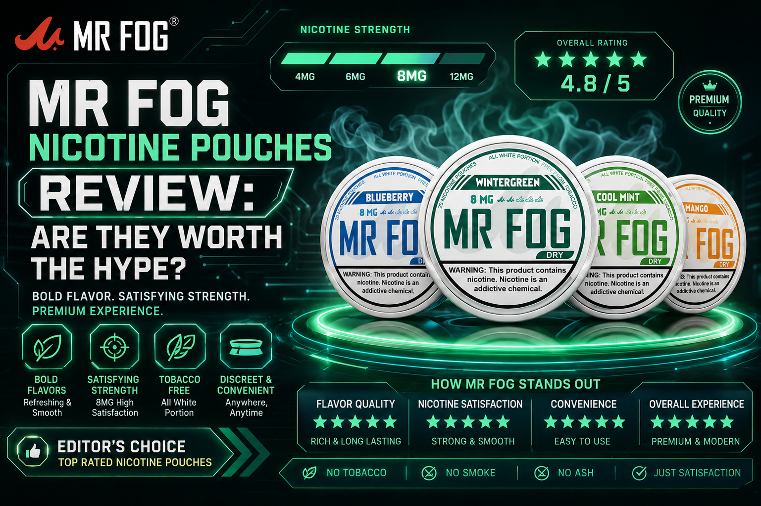 Mr Fog Nicotine Pouches